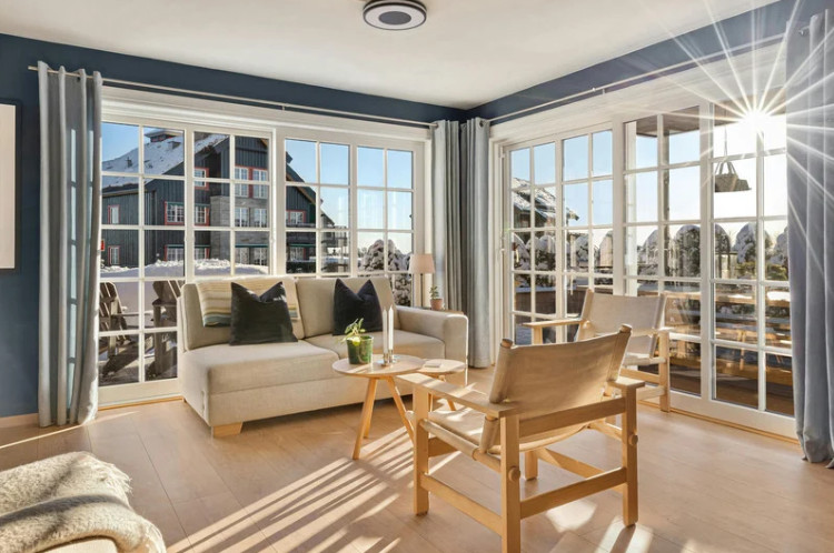 A bright, inviting room features a mix of popular window designs, combining function and style. For example, large picture windows provide unobstructed outdoor views, while double-hung windows offer easy ventilation. 