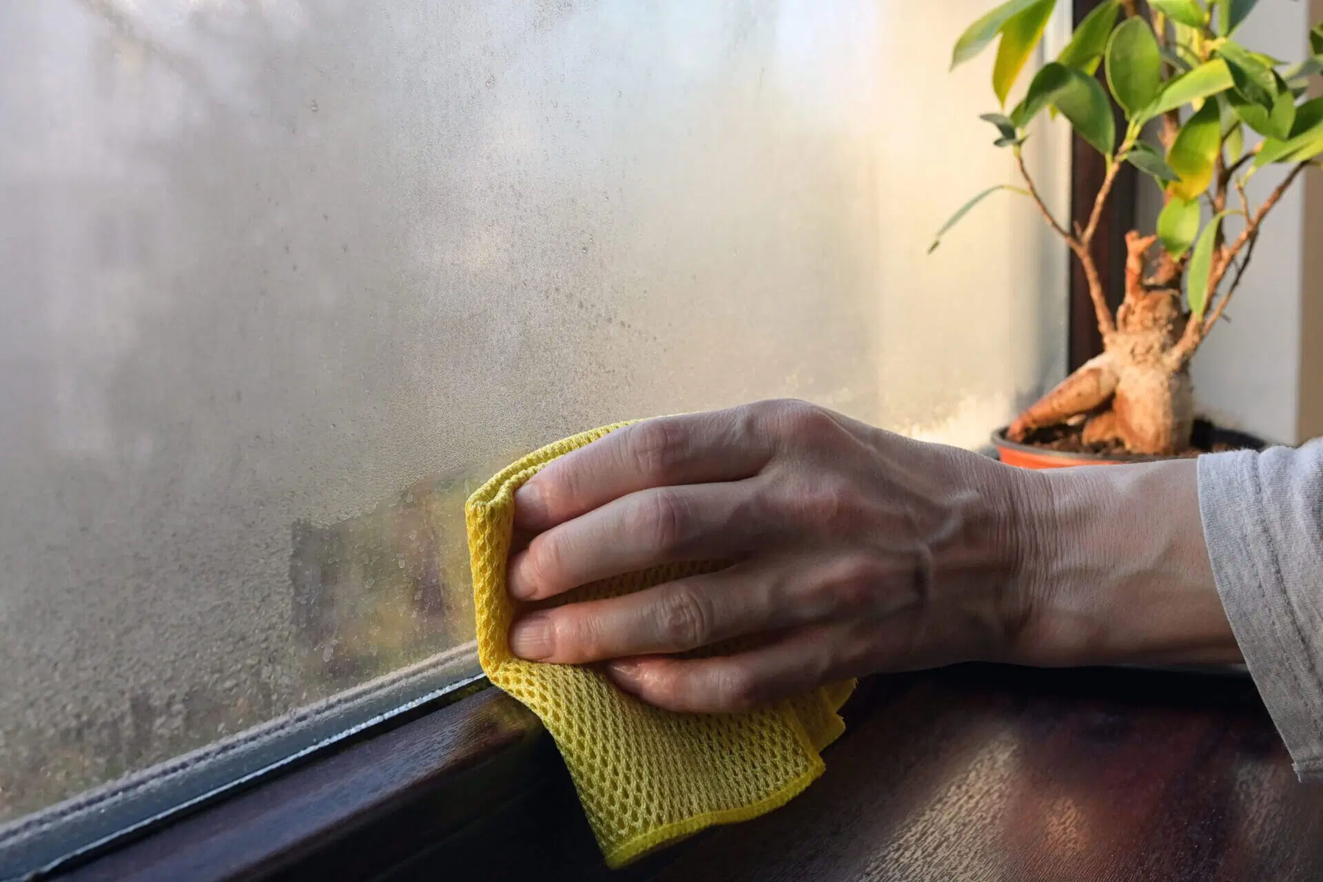 A person wipes condensation from the inside of a window with a yellow cloth. A small potted plant sits on the windowsill to the right.